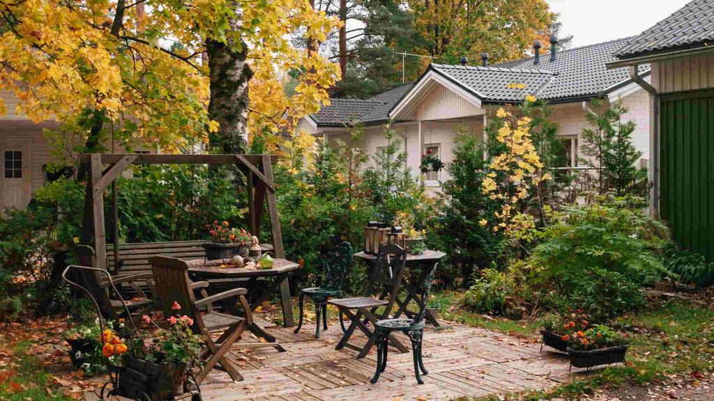 Fresh Ways to Appreciate and Enjoy Your Backyard in the Fall