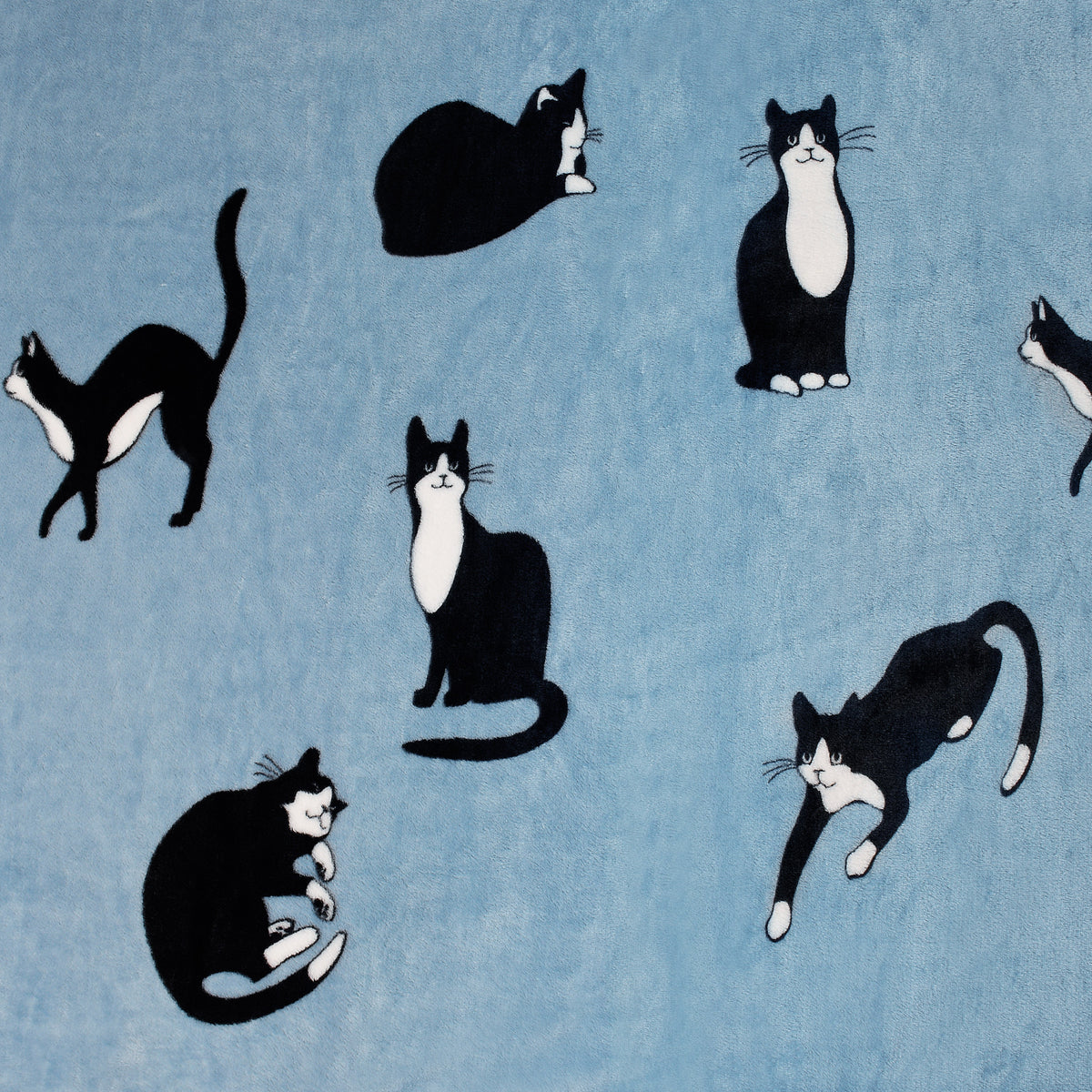 Grey Wonder Cat Wearable Blanket Single Layer